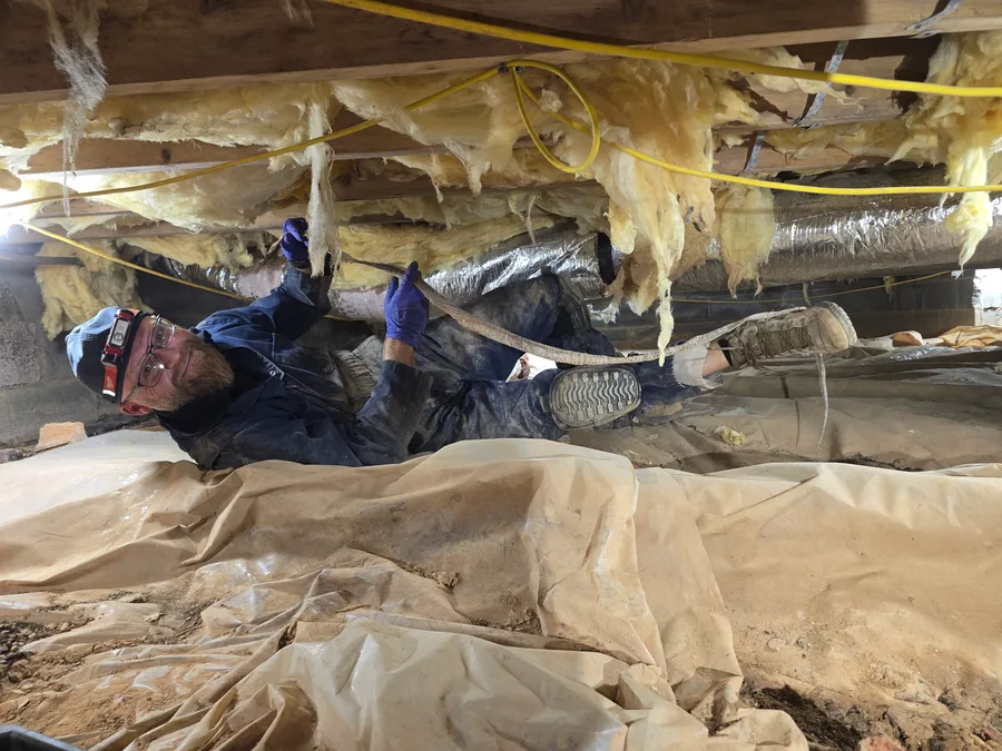 A Rozier Pest Control & Waterproofing technician inspecting a crawl space for pest activity, with a discarded snake skin on the insulation.